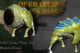 Operation Black Mesa