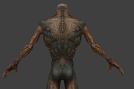 Krovosos