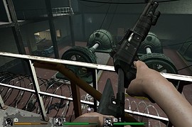 Black_Tigerstripe_Autoshotty