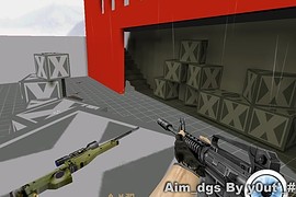 Aim_dgs