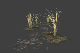 l10swamp_plant_group2