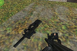 P90 Advanced Carry