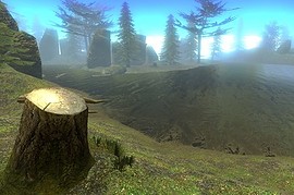 gm_forest2008
