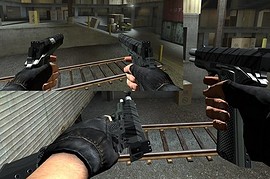 DFMS Colt Dualies )