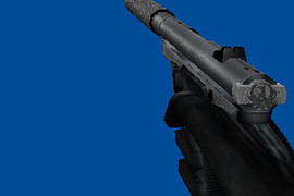 AWR Arctic Warfare Ruger Reskin