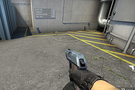 Pistol