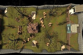 cp_Forest