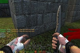 Pink_Camo_Gloves