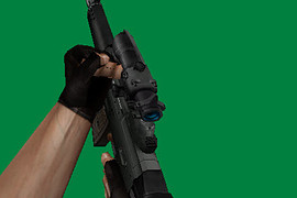 SIG 552 SD
