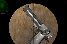 Two Tone Desert Eagle
