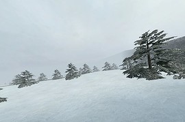 dod_lajeunesse_v4