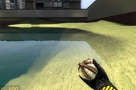 Bug Bait
