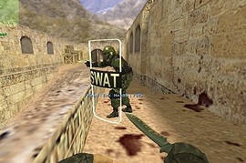 Clear Riot Shield (P V)
