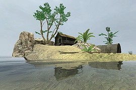 dm_tropic