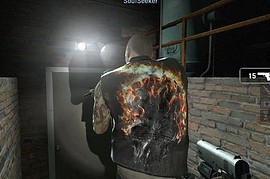 Biomech Francis Updated