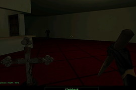 Vampire Slayer