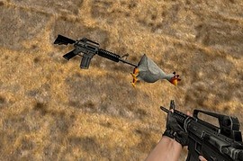 Secret US chicken M4