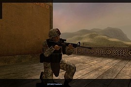 Roughed_up_marine