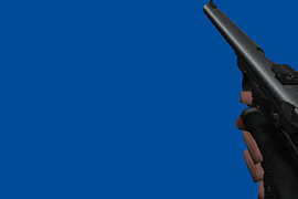 Furious Ruger