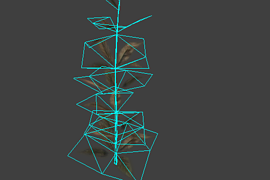 plant5