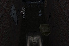 zm_run