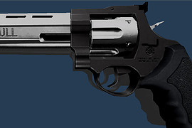 Taurus Raging Bull Two-toned
