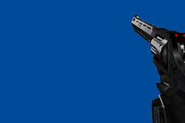 Taurus Raging Bull Two-toned