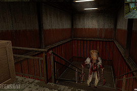 Black Mesa