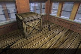 aim_survivor