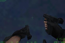 Duel Glock 19s