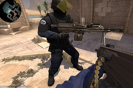 SIG MG338