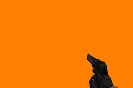 Desert Eagle black with HL2 Hands