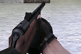 PPSH