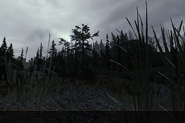 Dangerous World 2