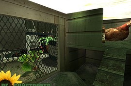 de_sunstroked