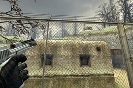 Silver Black Deagle