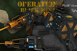 Operation Black Mesa