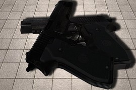 Custom p226 Dualies
