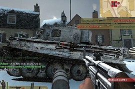 Flecktarn_tiger_tanks