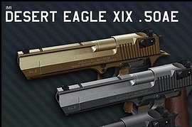 Hav0c's Deagle W the tub
