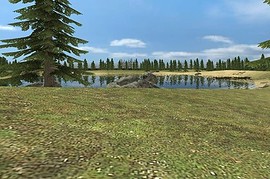 gm_wildforest_v2