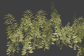 grass_pack5_small