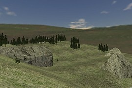 ts_woods_alpha6