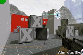 Aim_dgs