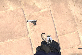 Pistol