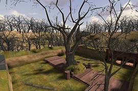 duel_woods