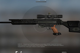 PSG-1 A2