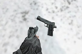Clean Polished Kimber