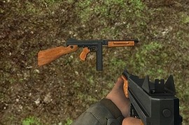 Orange_Wood_Thompson
