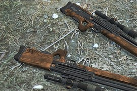 Walther 2000